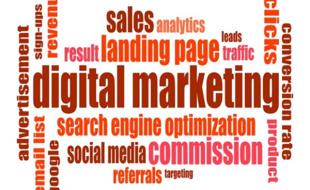 The Future of Digital Marketing in the Software Industry